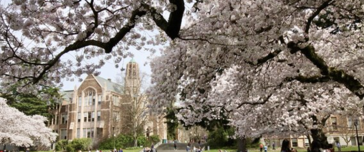 Screenshot 2024-09-29 at 5.01.18 PM